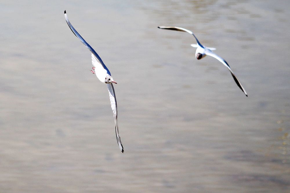 Photograph by mehdi karimi souderjani