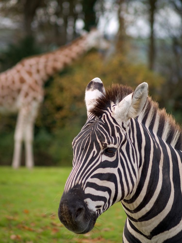 Photograph by Agita Leimane