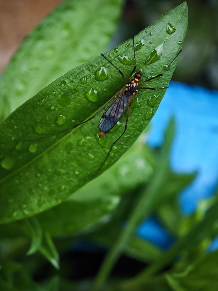Фотография автора Иван Мисько