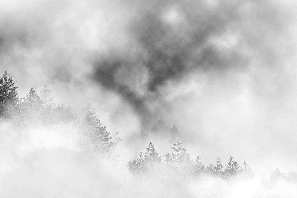 Photograph by Ava Nasiri