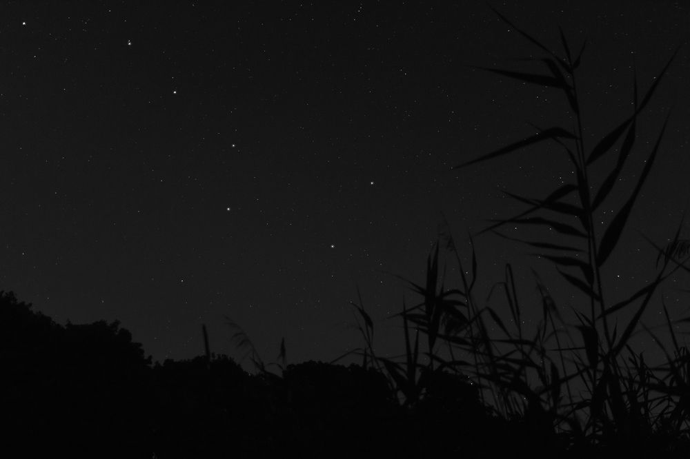 Photograph by Денис