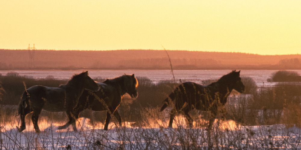 Photograph by Андрей Миронов