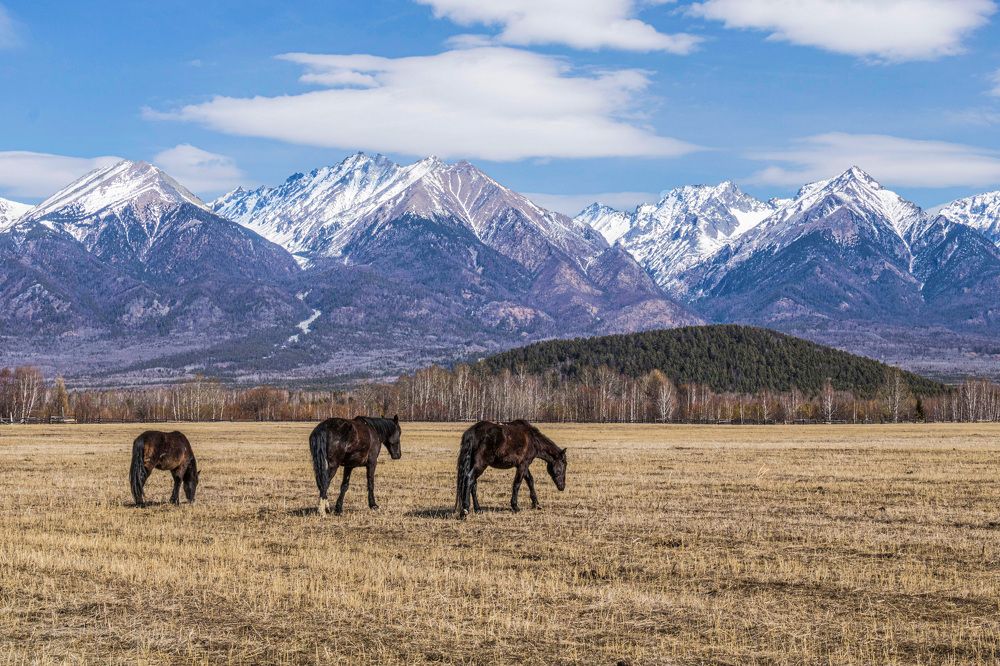 Photograph by Юрий Борик