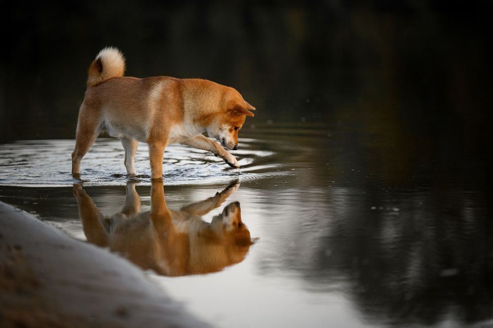 Photograph by Елена Якусева