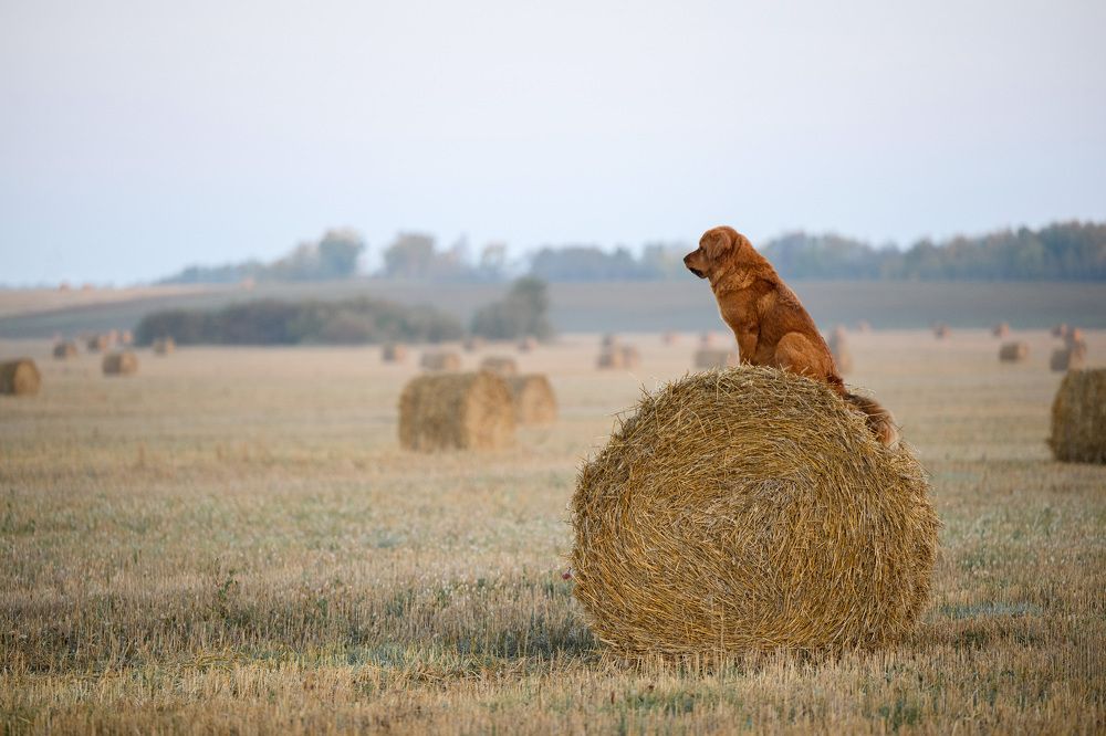 Photograph by Елена Якусева
