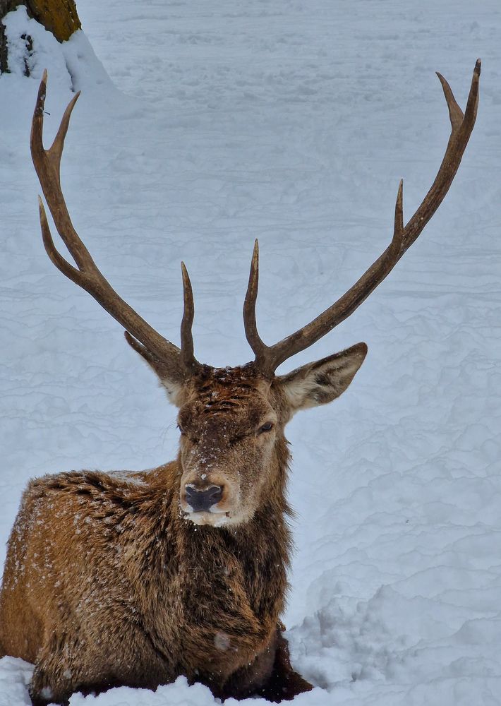 Photograph by Bogdan Dumitru