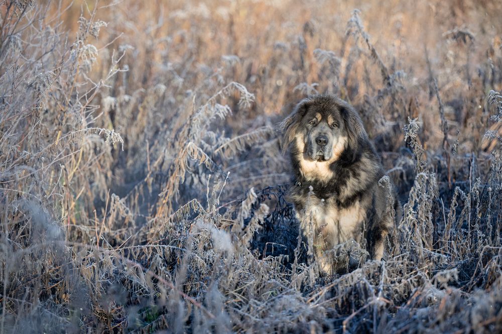Photograph by Елена Якусева