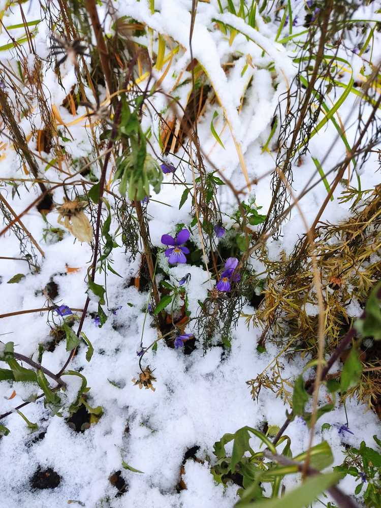 Photograph by Наталья Билай