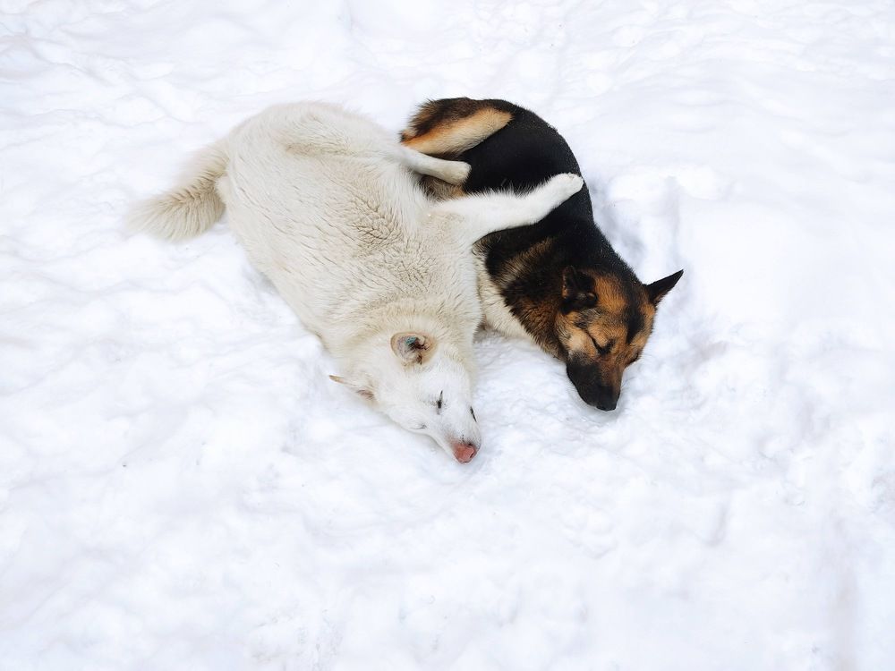 Photograph by Наталья Билай