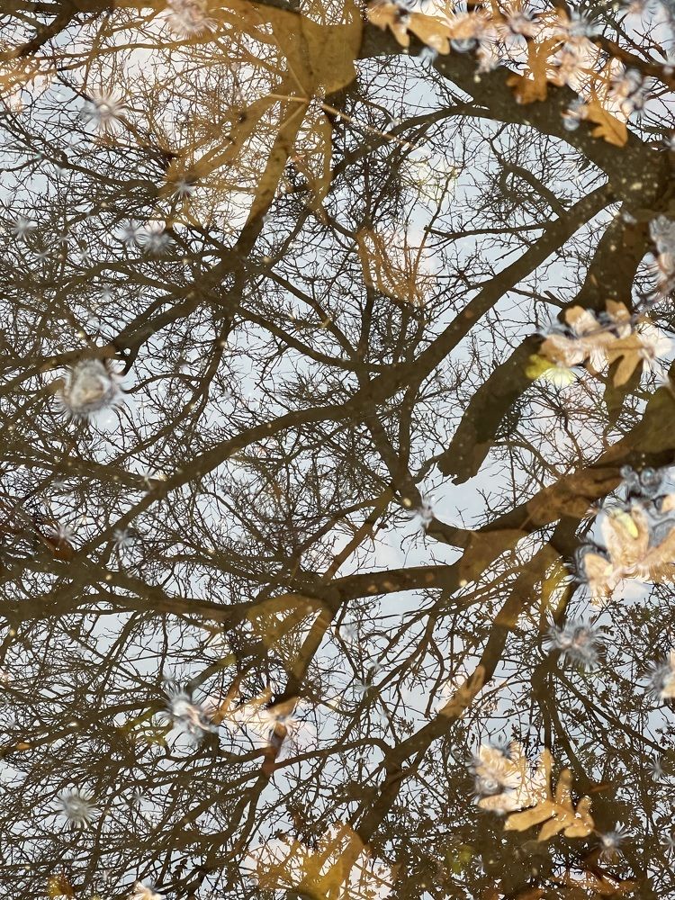 Photograph by Елена