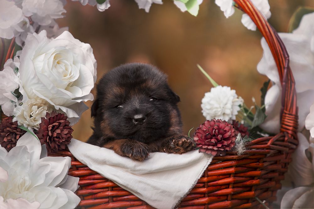 Photograph by Жанна Дандыбаева