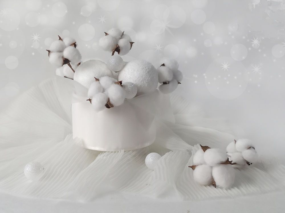 Photograph by Новикова Елена Сергеевна