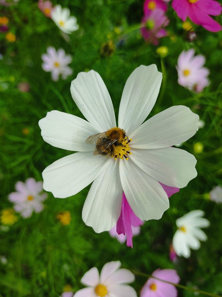 Photograph by Наталья Билай