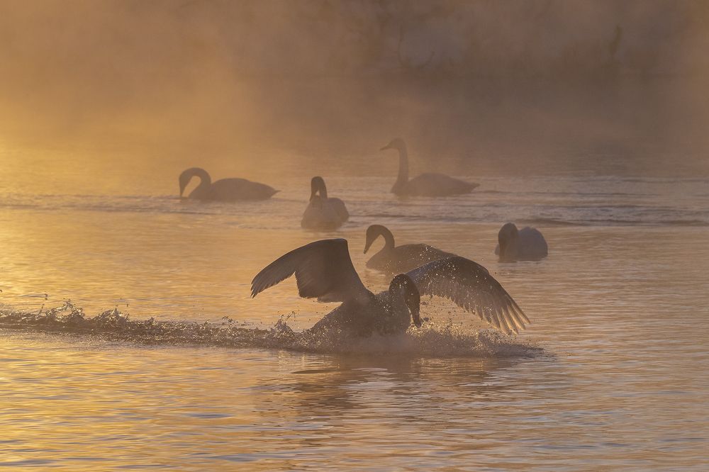 Photograph by Евгений Санин