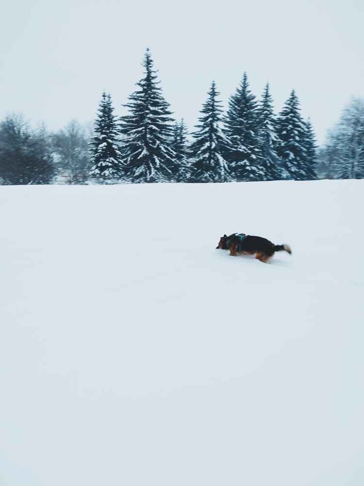 Фотография автора Catherine Shashkova