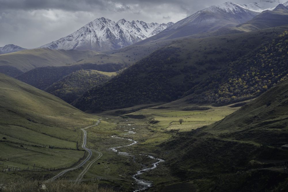 Фотография автора Марина Лукьянова