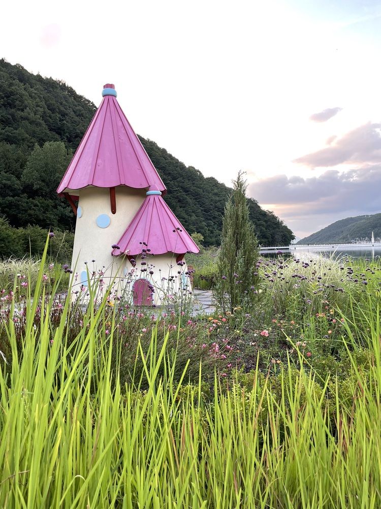 Photograph by Olga Gorobets