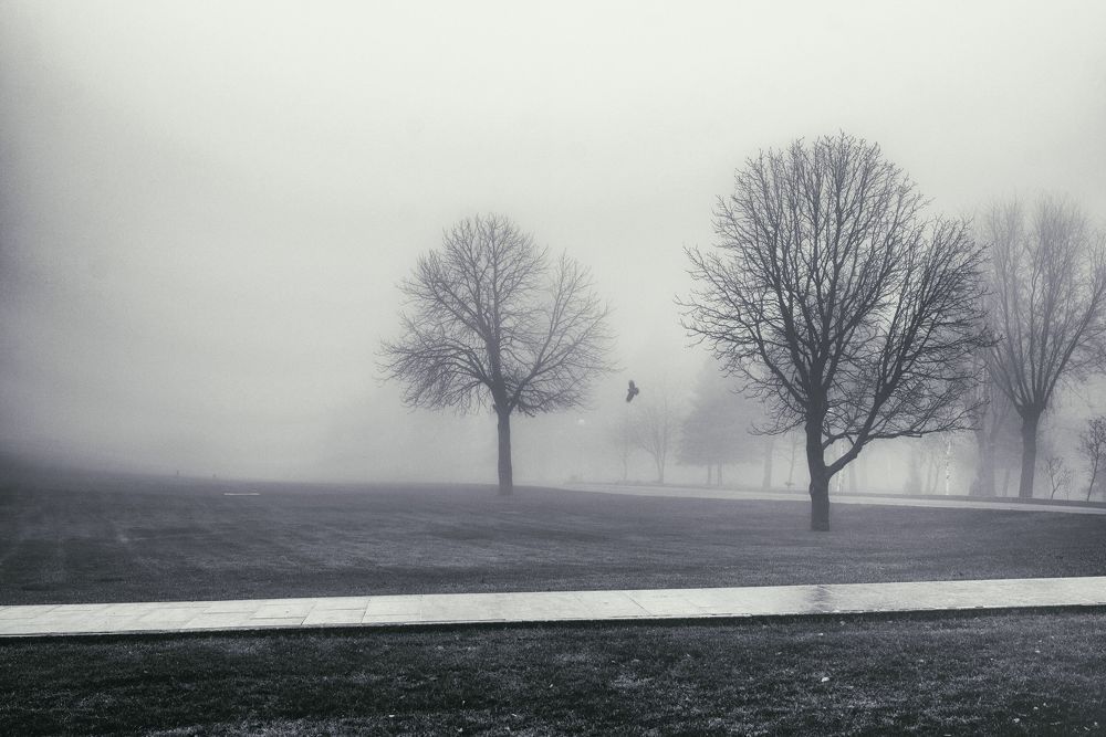 Фотография автора Дмитрий Кетов