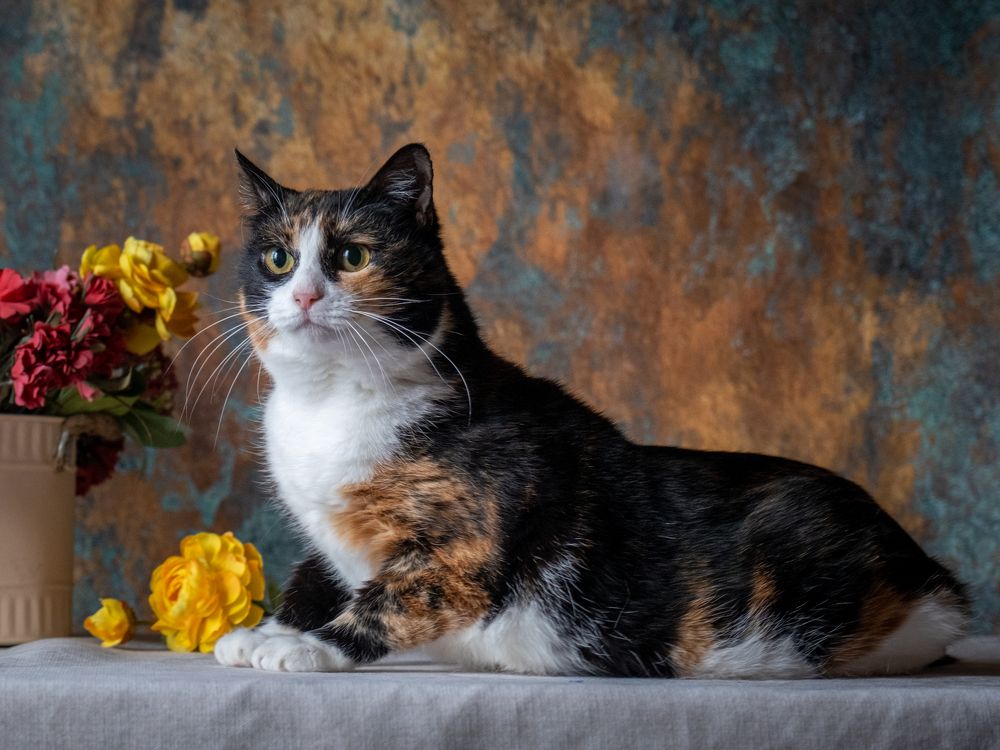 Photograph by Dina Damotseva