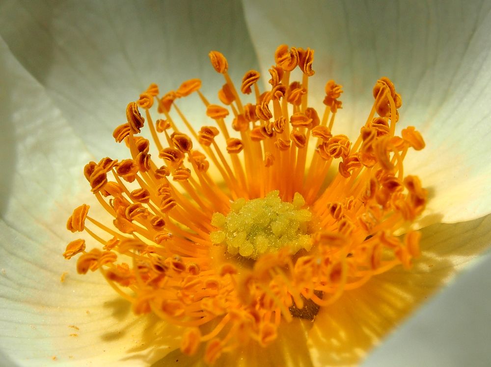 Photograph by Abdolreza Aleagha