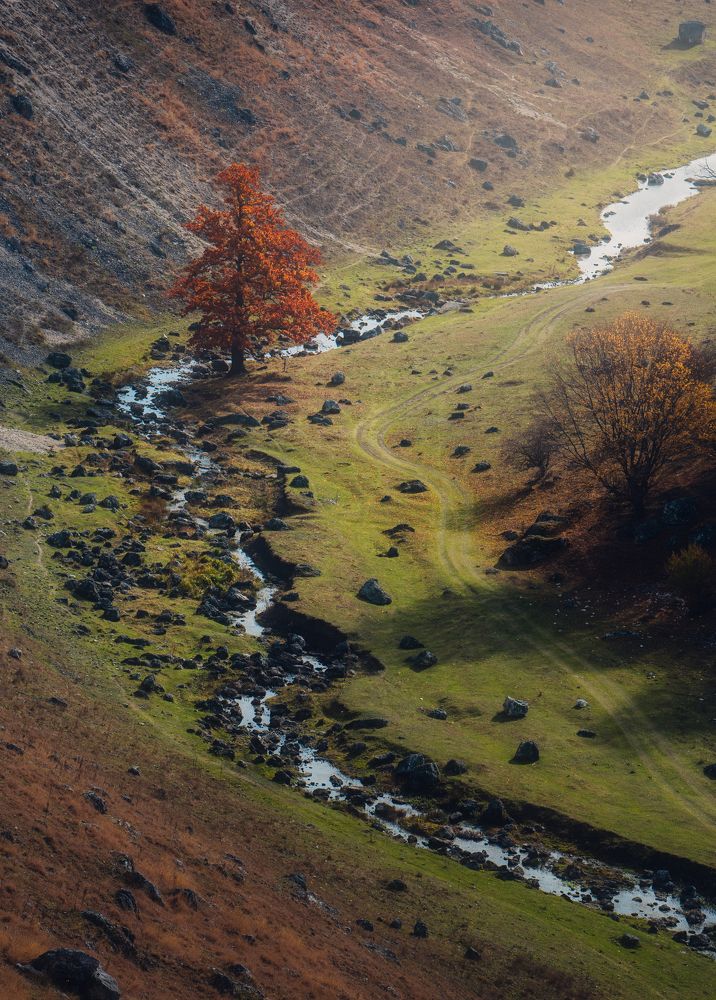 Фотография автора Oleg Suhenko