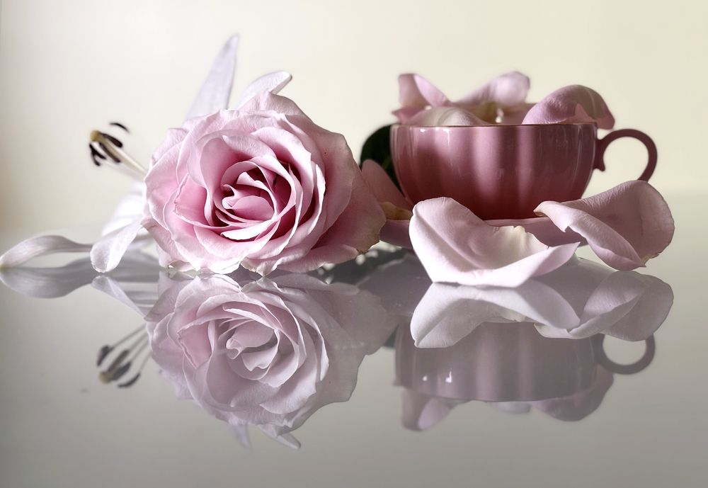 Photograph by Liliana Grup