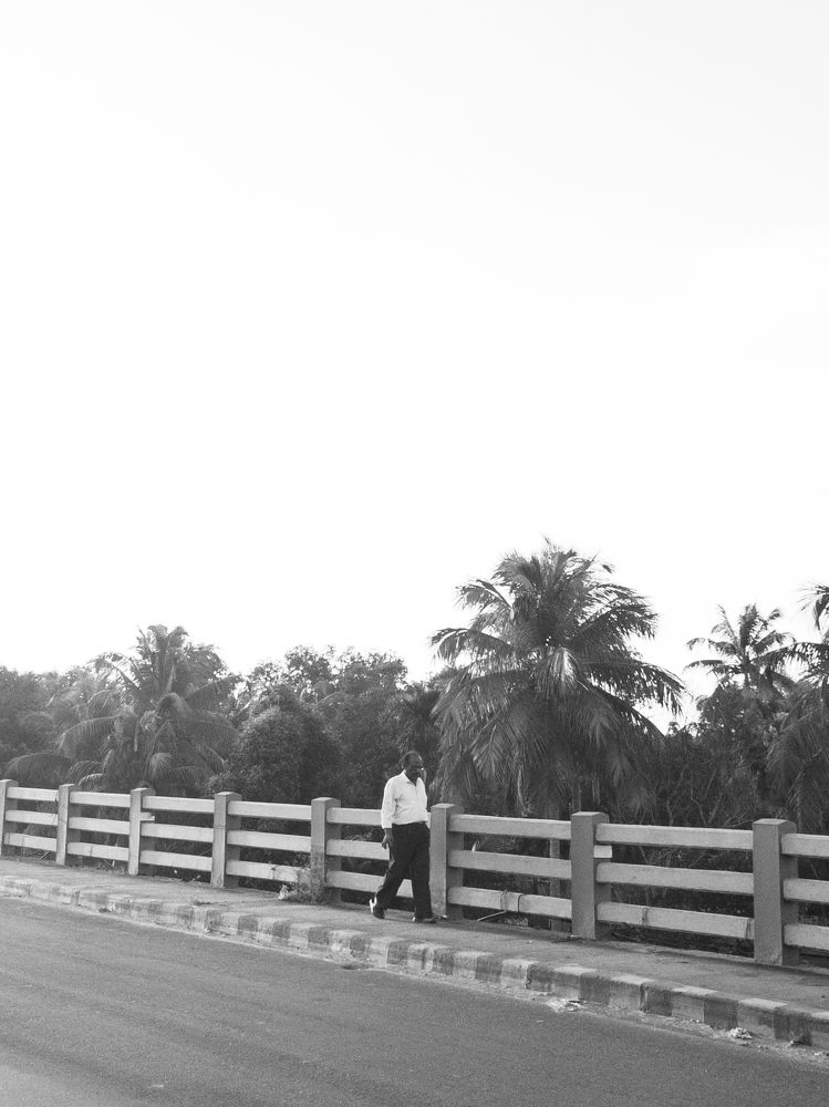 Photo #9955439