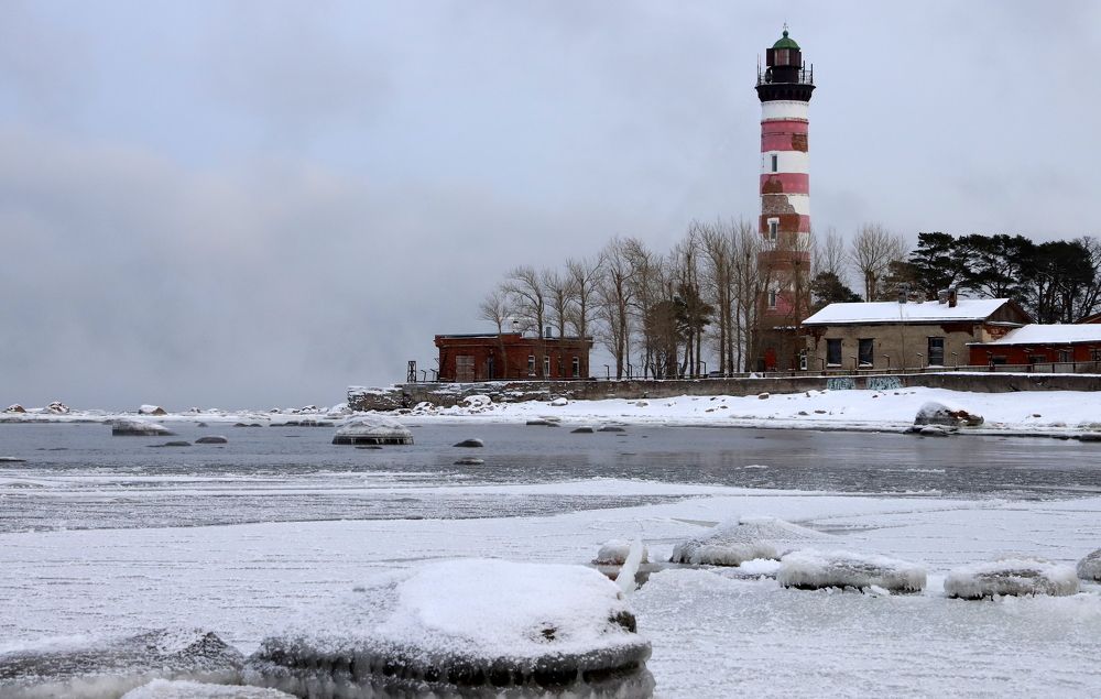 Photograph by елена