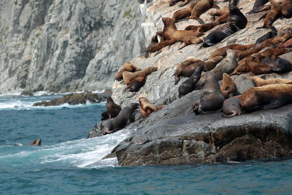 Photograph by Александр Масенко