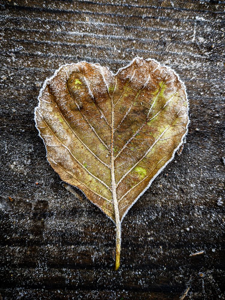 Фотография автора Александр Хухлов