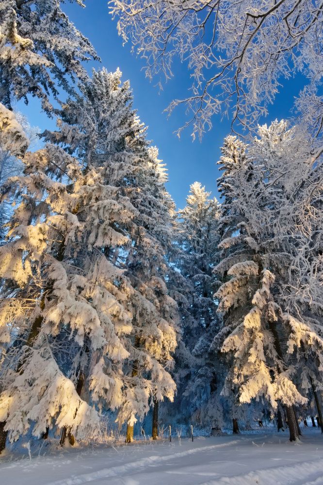 Фотография автора Владимир Коровяковский