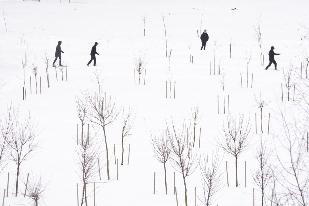 Фотография автора Алена