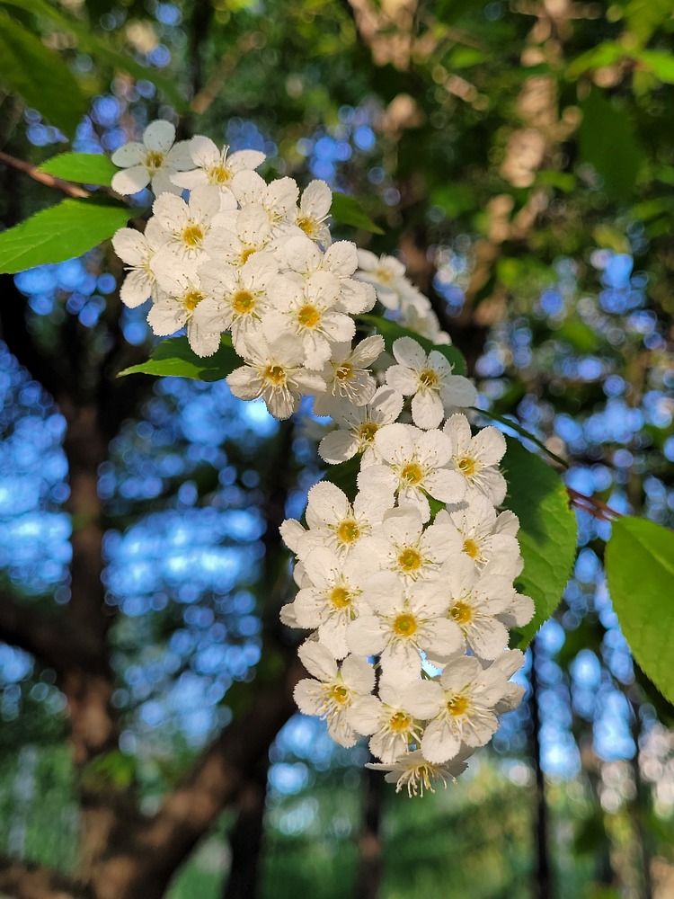 Photograph by Екатерина