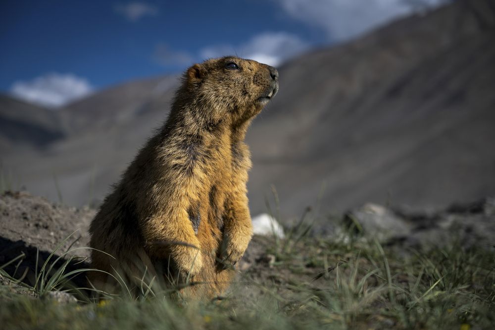 Photograph by Dwaipayan Paul