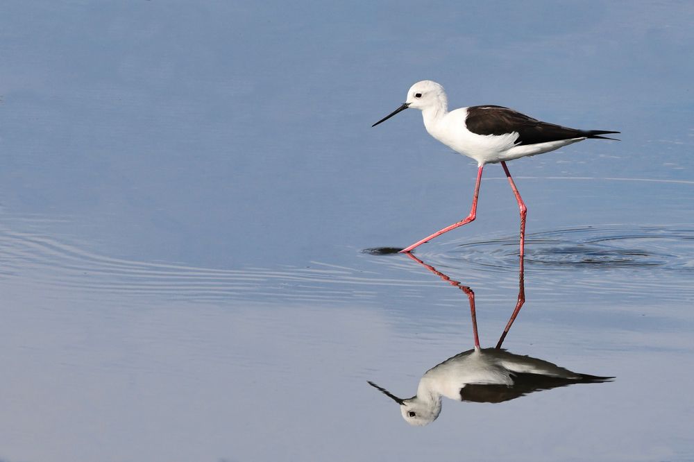 Photograph by pavel chtein