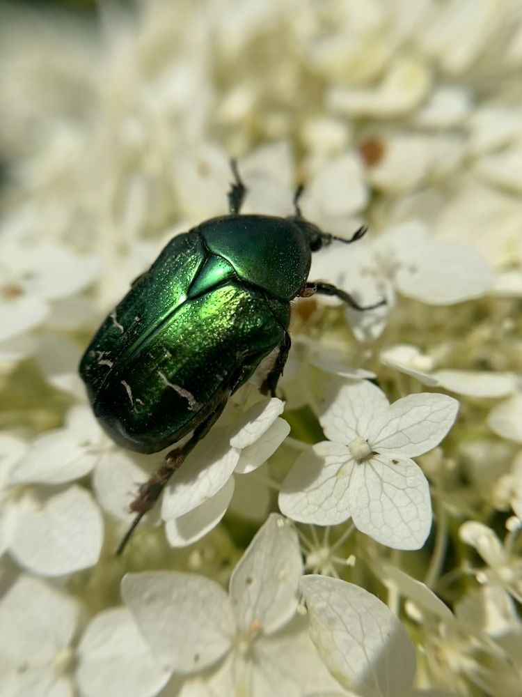 Photograph by Юлия Зель-Жилинская