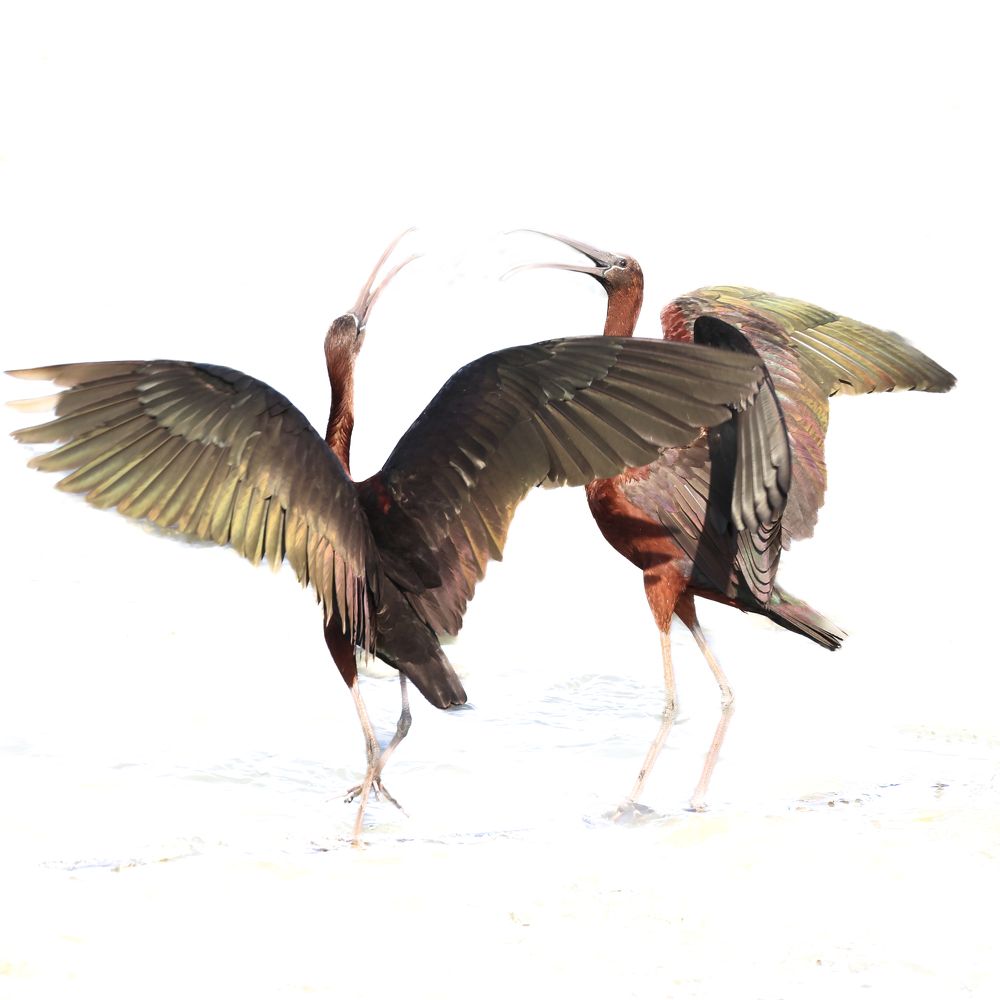 Photograph by pavel chtein