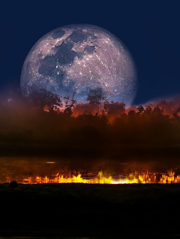 Photograph by Frank cobo blanco