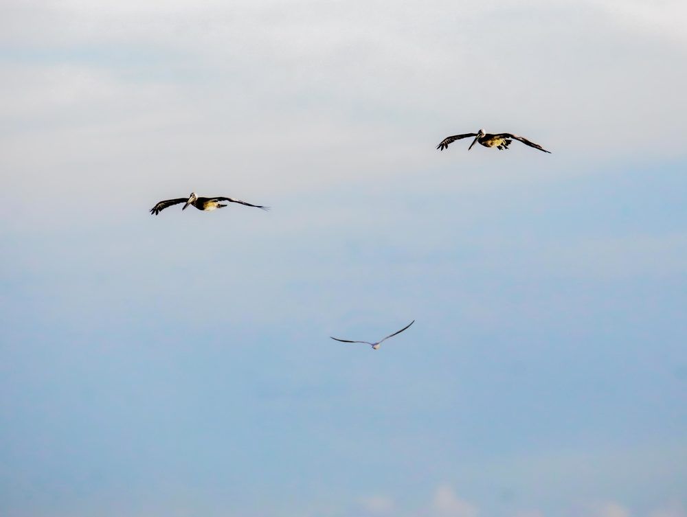 Photograph by Frank cobo blanco