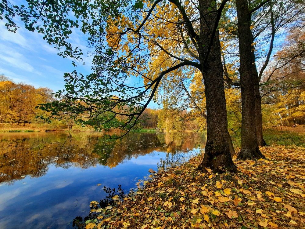 Photograph by Суетинов Евгений