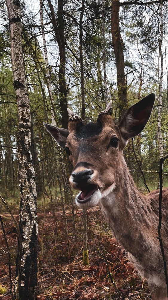 Photograph by Людмила Казак