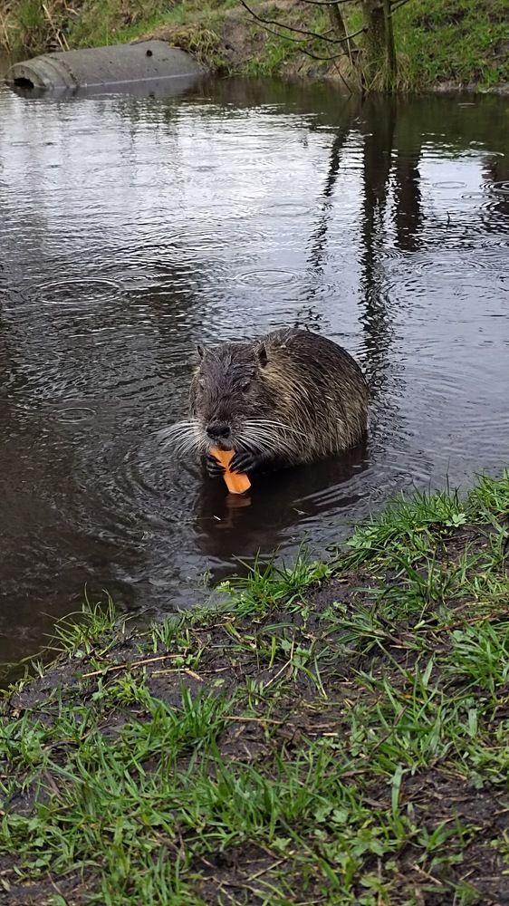 Photograph by Людмила Казак