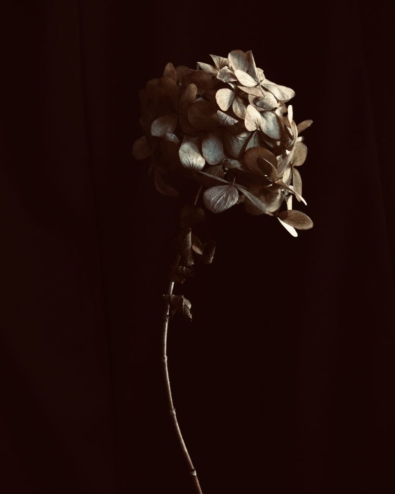 Photograph by Irina Kolotova