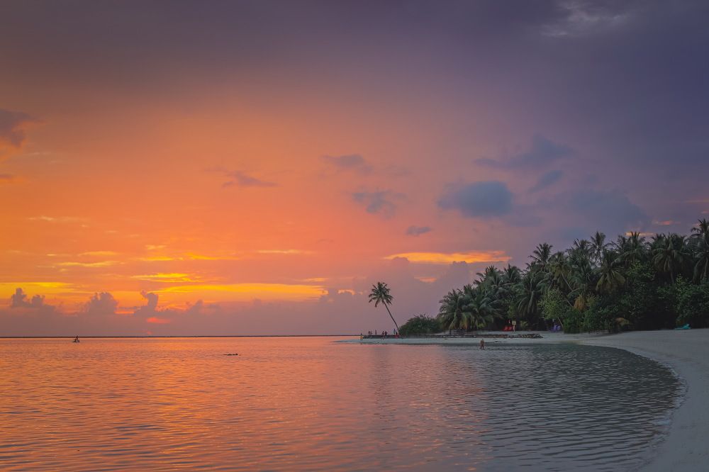 Photograph by Александр Перегоненко