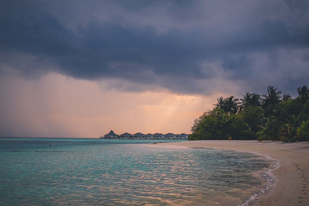 Photograph by Александр Перегоненко