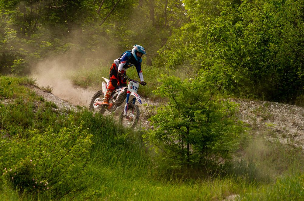 Фотография автора Алексей Тимофеев