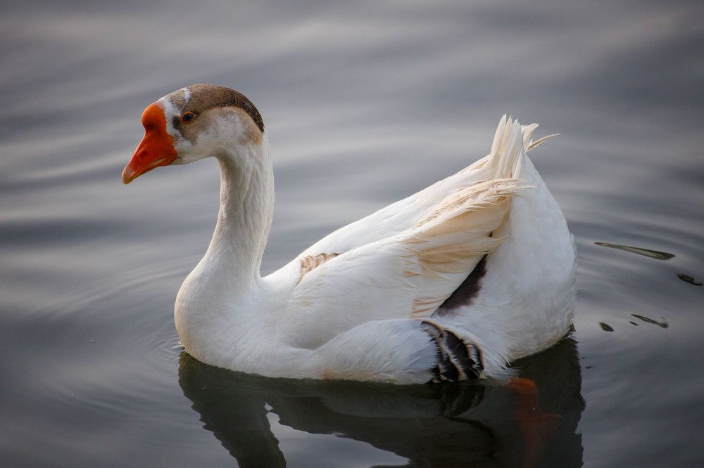 Photograph by Antonis Papaconstantinou