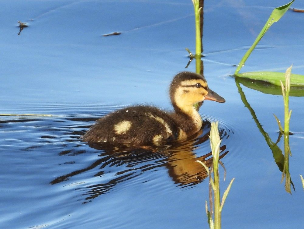 Photograph by Владимир Джерихов