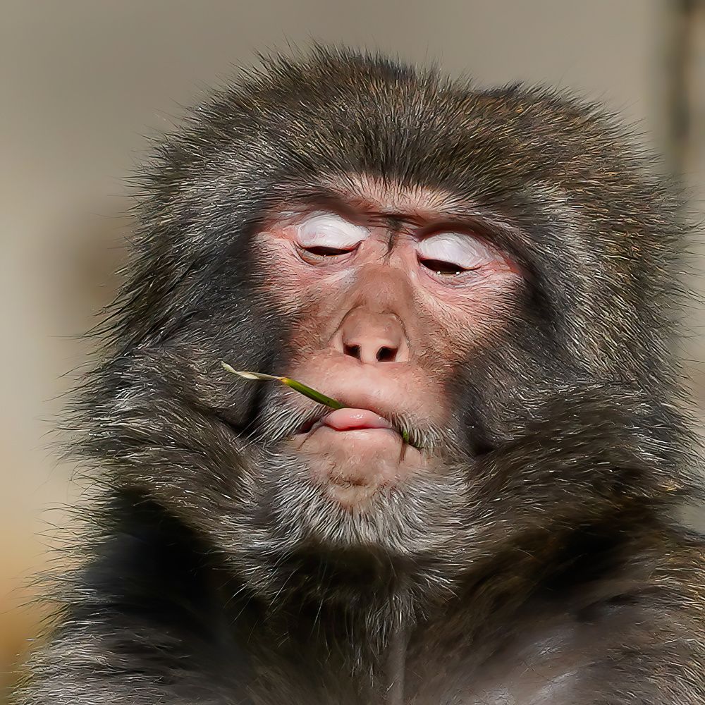 Photograph by Bulat Bayzuldin