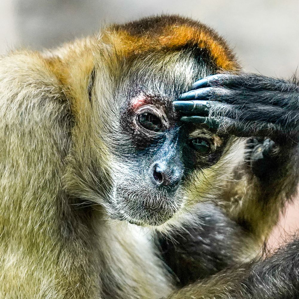 Photograph by Bulat Bayzuldin